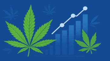 cannabis business law